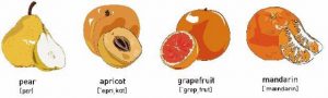 Papaya_3-640x193-300x90