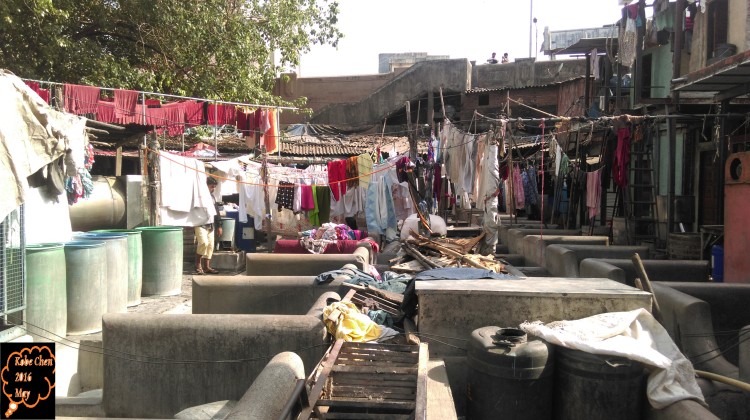 SLUM11