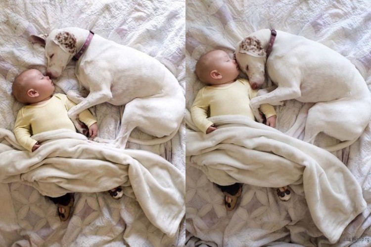 adaymag-3-cats-3gods-3kids-lovely-family-0111