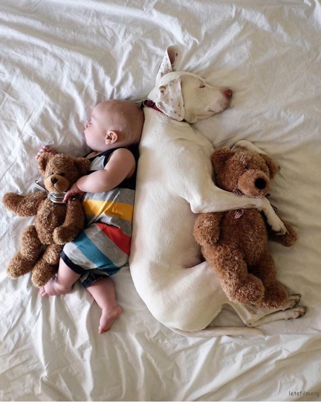 adaymag-3-cats-3gods-3kids-lovely-family-0112
