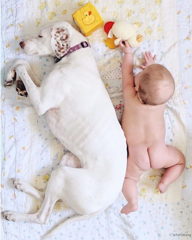 adaymag-3-cats-3gods-3kids-lovely-family-0113