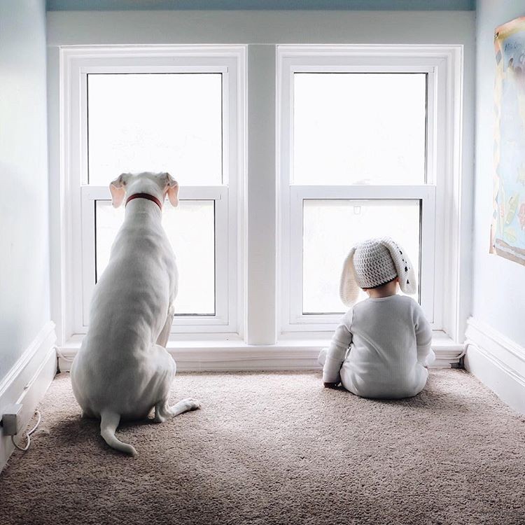 adaymag-3-cats-3gods-3kids-lovely-family-0116