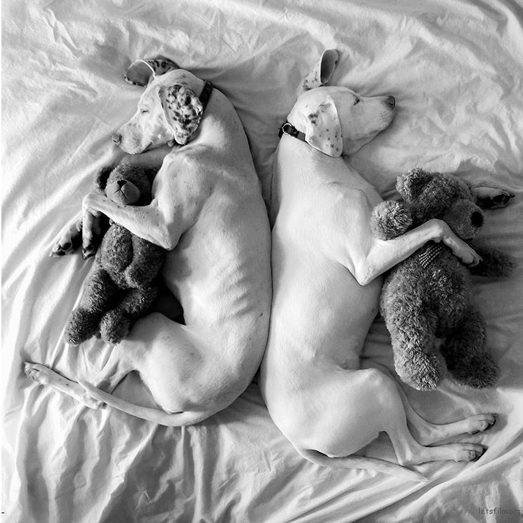 adaymag-3-cats-3gods-3kids-lovely-family-013