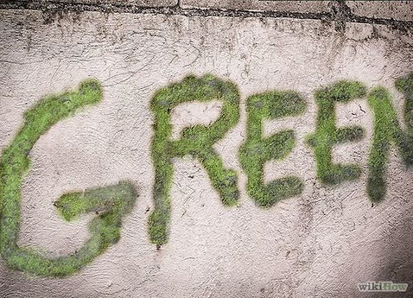 moss_graffiti-10