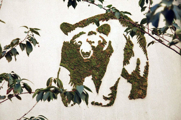 moss_graffiti-14