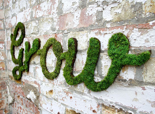 moss_graffiti-15