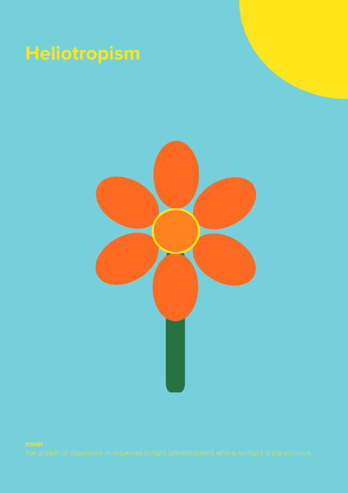 6_51