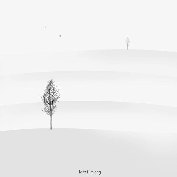 hosseinzare06-1