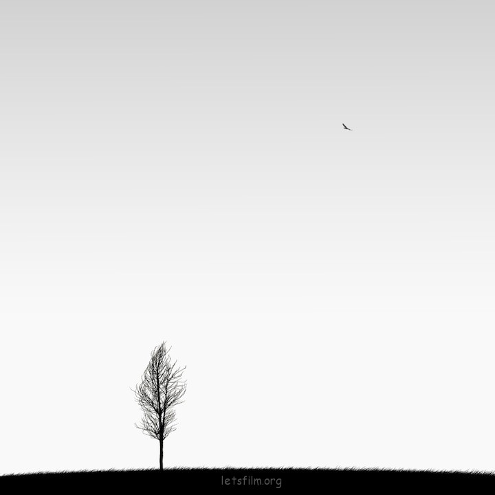 hosseinzare07-1