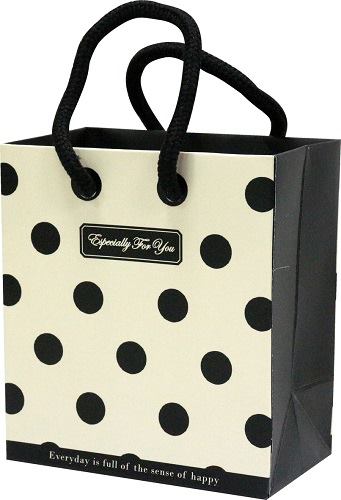 fashion-handbag-2
