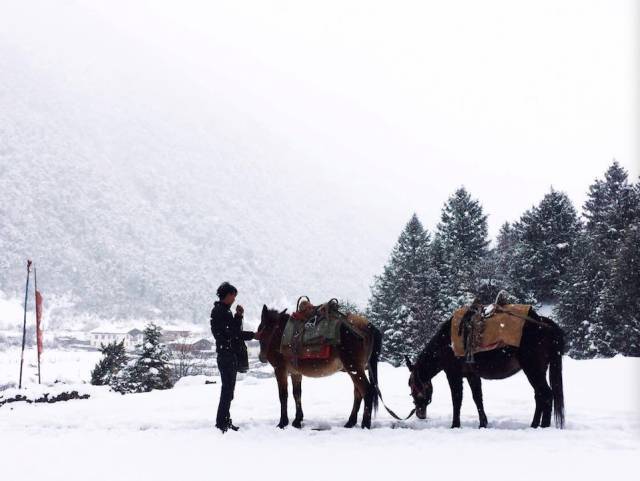 旅行的意義 在 梅 里 雪 山 遇 見 了 一 場 大 雪。