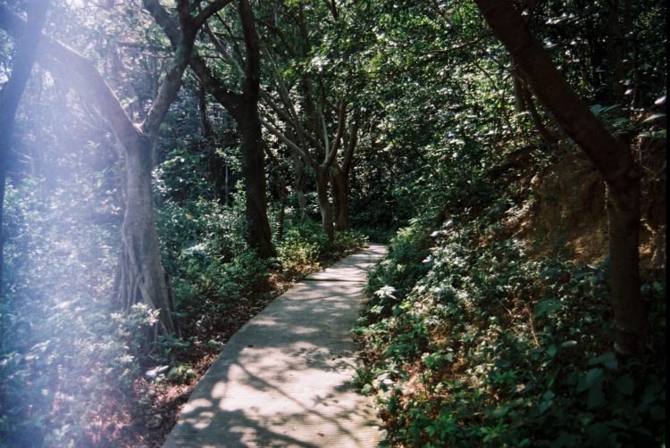 路