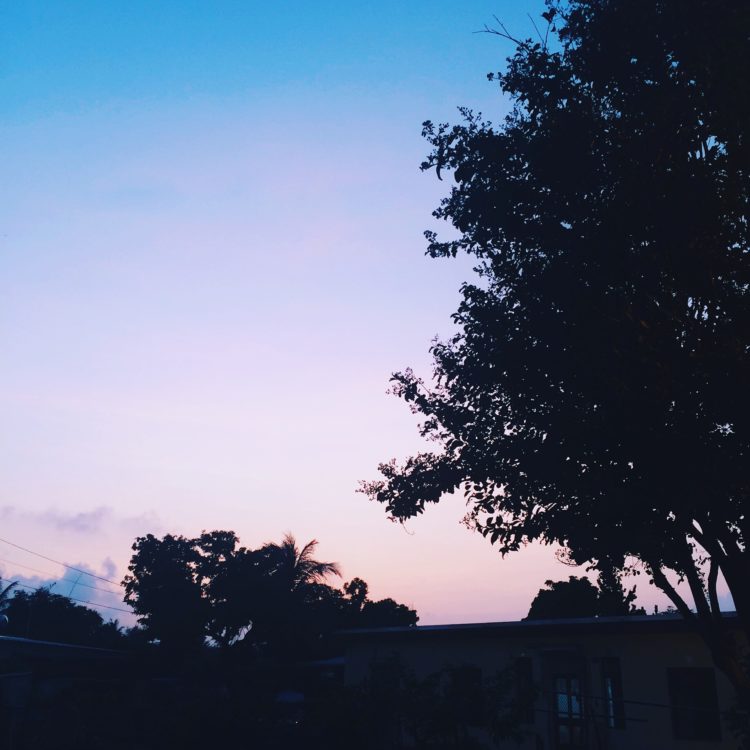 Processed with VSCO with c7 preset