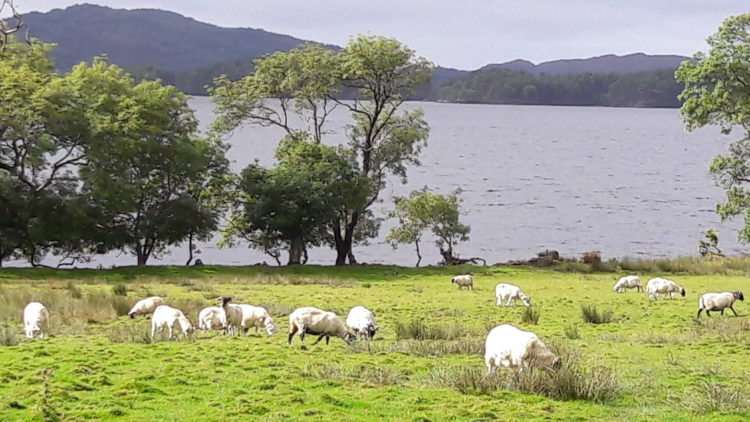 loch-morar