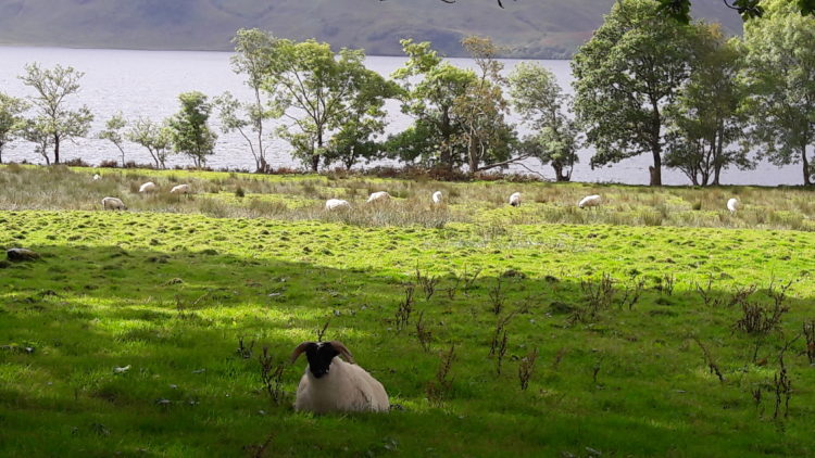 loch-morar1