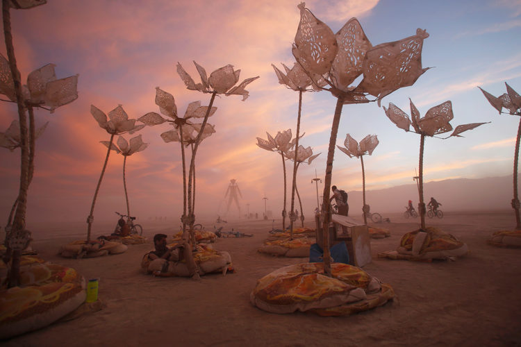 burning-man-2014