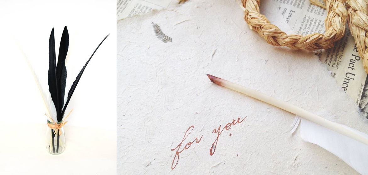 feather-pointed-dip-nib-1-horz