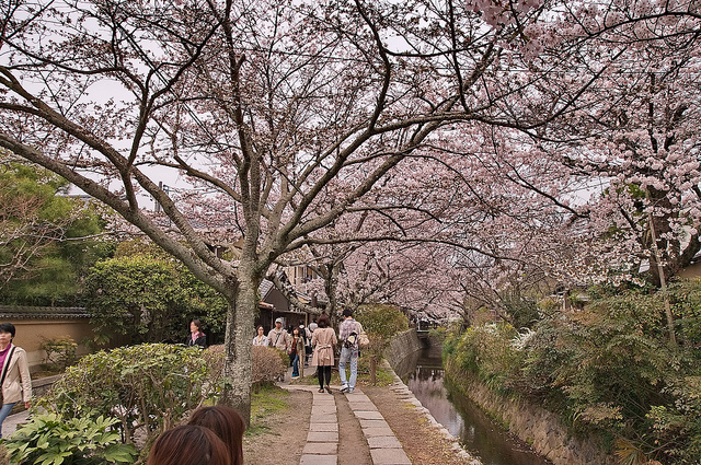哲 學 之 道 Photo by Kyoto-Picture CC by 2.0。 