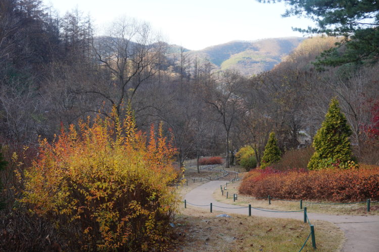 dsc04991
