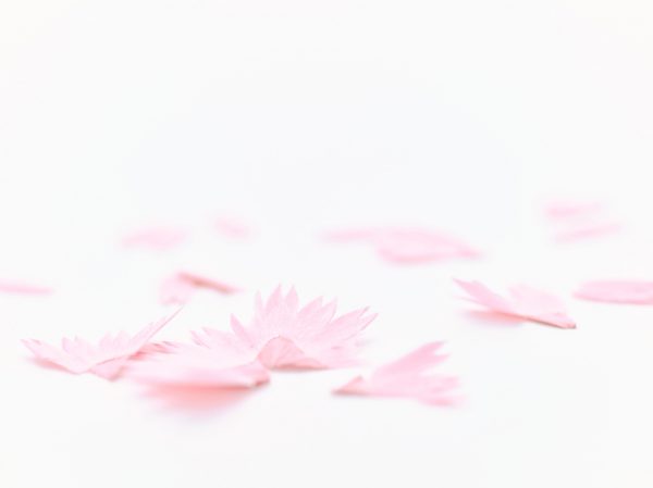 thumb_width_640_20160915155258-e1479272210419