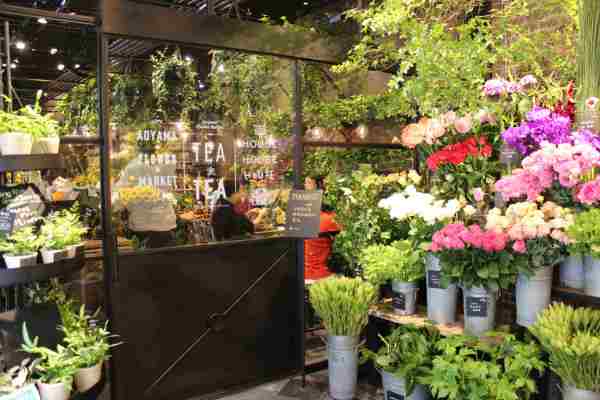 Aoyama Flower Market Tea House：咖 啡 店 與 花 店 的 浪 漫 結 合 。