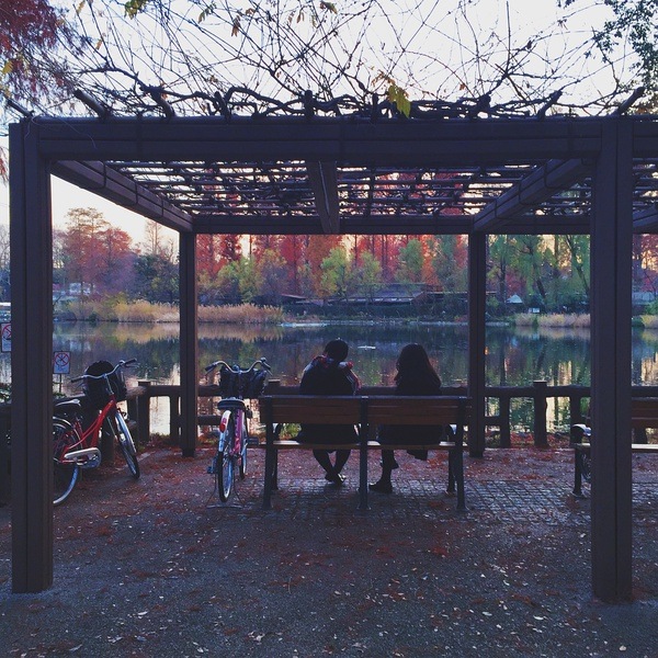 井 之 頭 公 園 。