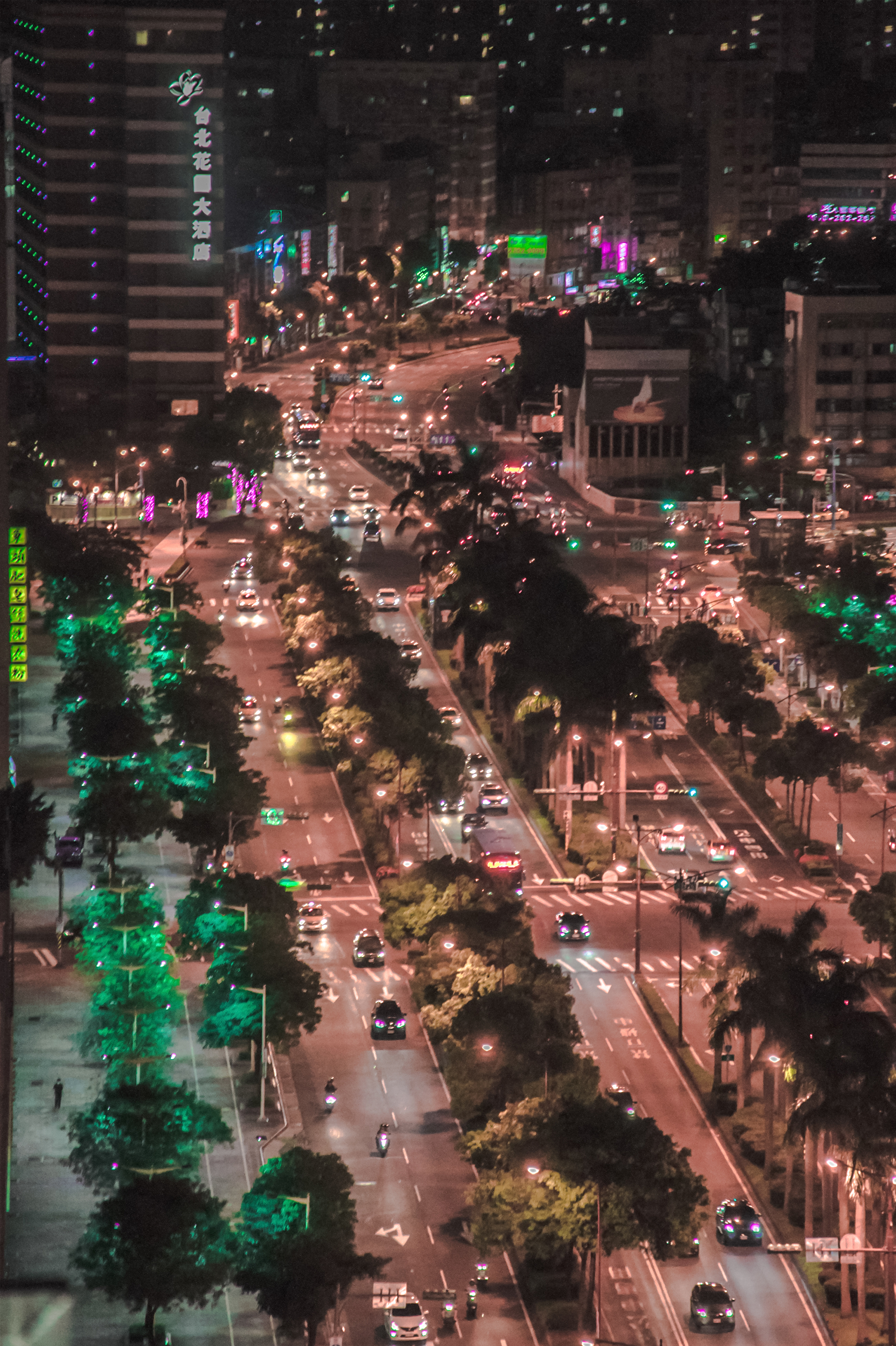 dsc_0132-203x305