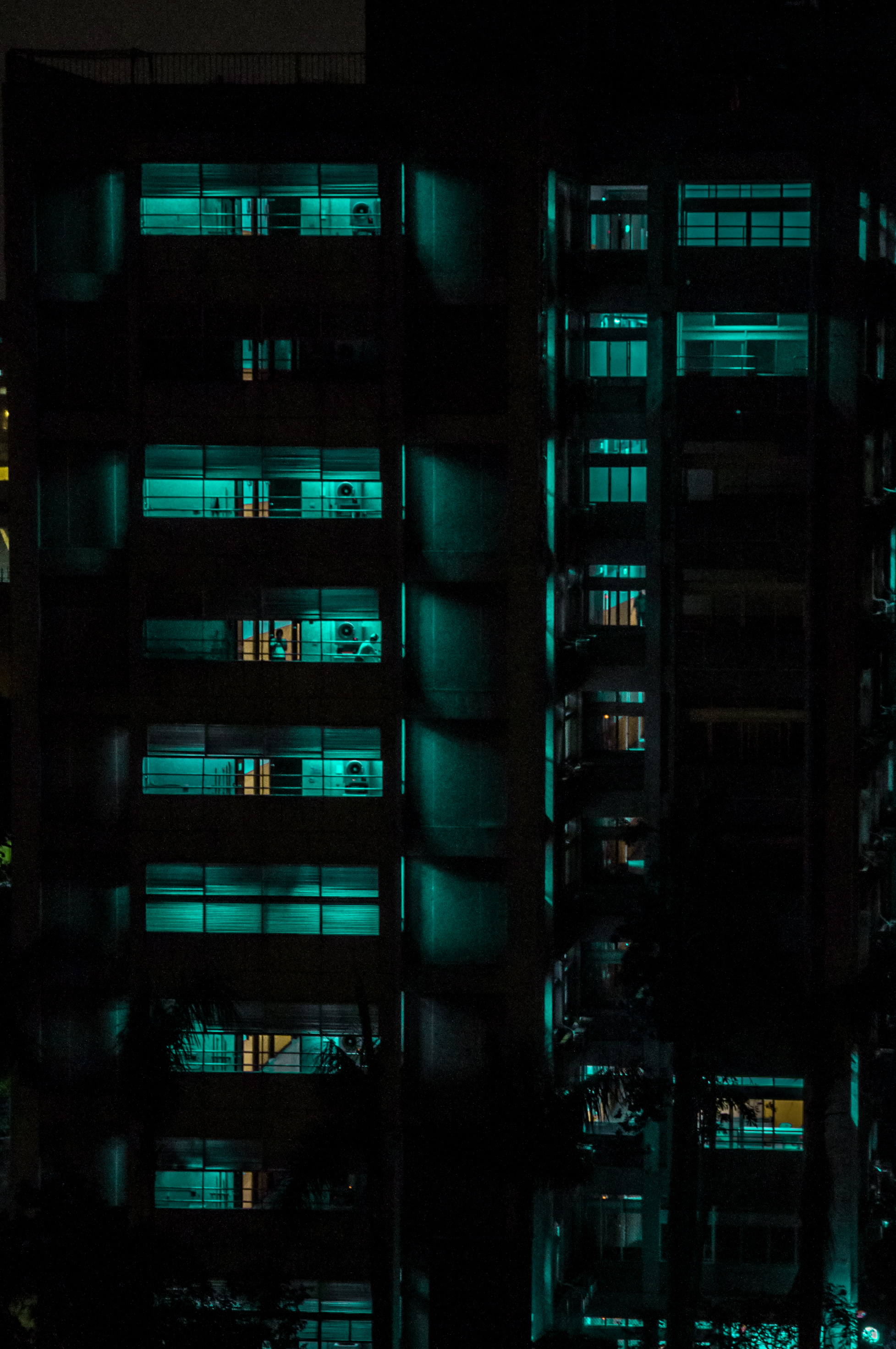 dsc_0461