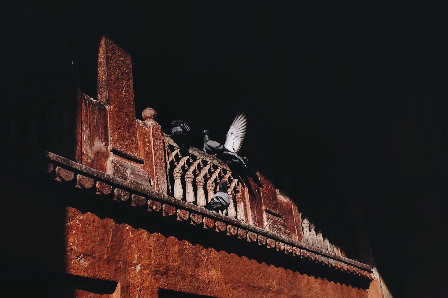 Processed with VSCO with a6 preset