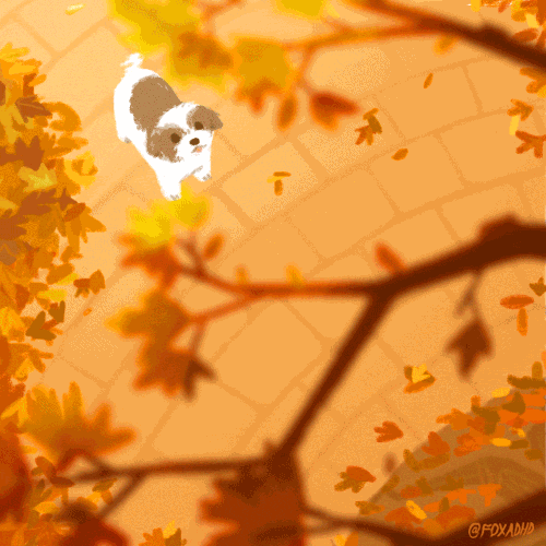 autumndogsedit