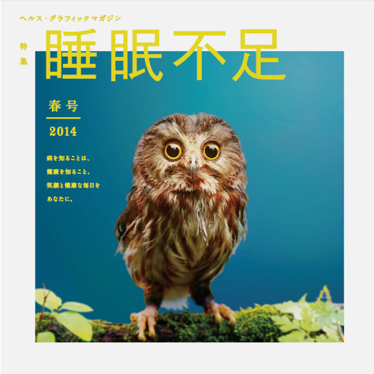 睡眠不足:昨日整夜都未眠,我到底是人類,還是貓頭鷹?