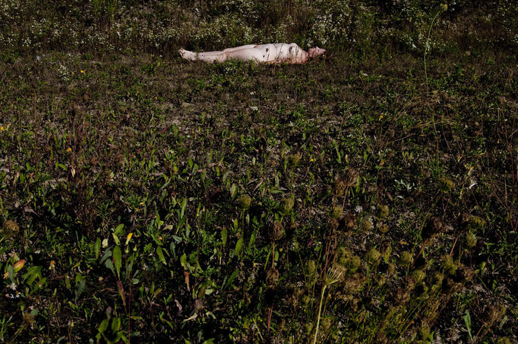 © Amy Friend