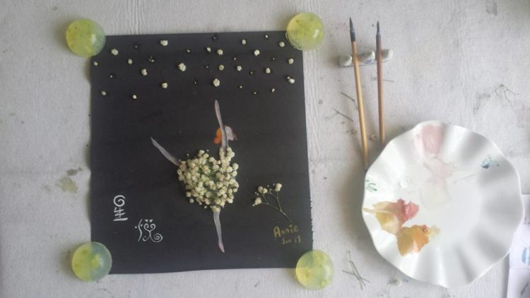 戀戀滿天星,點綴生活,體驗幸福星悅