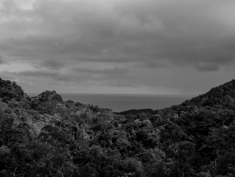 IMG_1636
