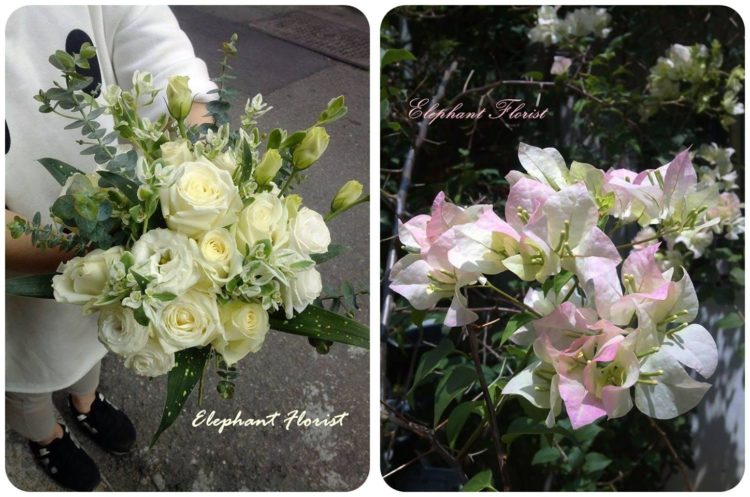 a bunch of flower 3
