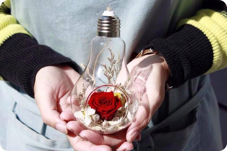 light bulb dried flower