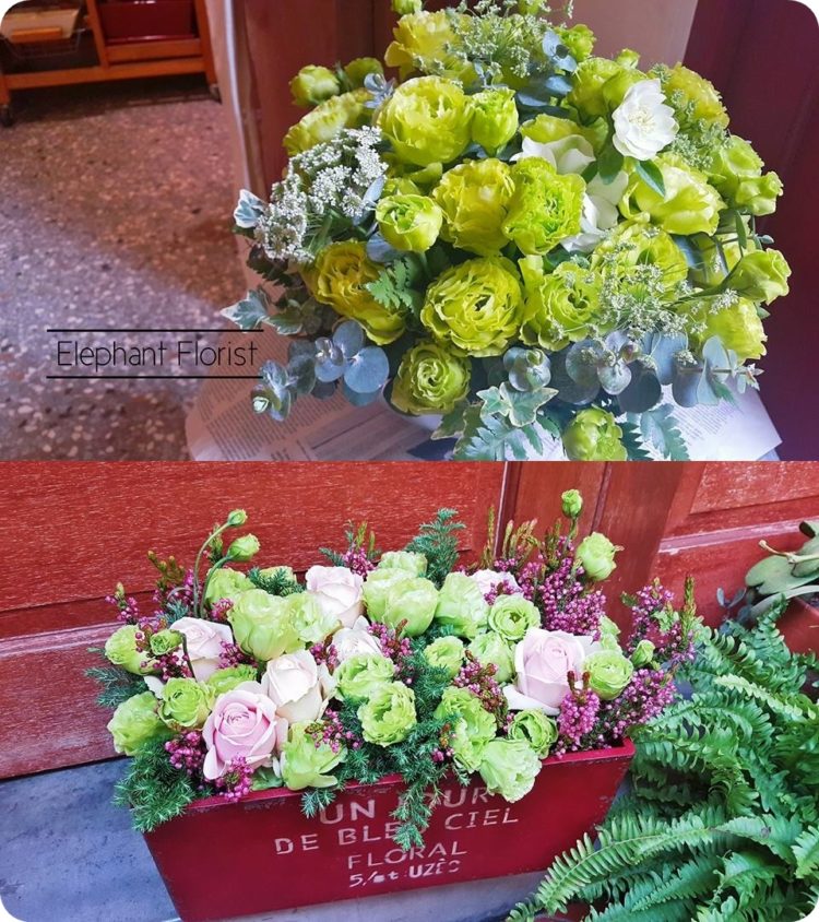 potted flowers 5 -vert