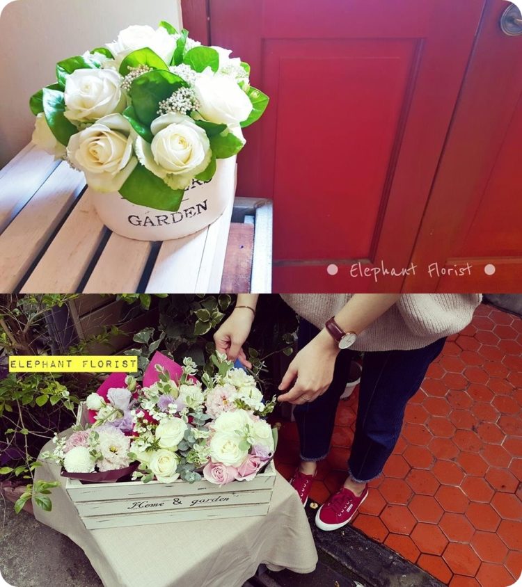 potted flowers 5_n-vert