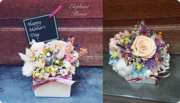 potted flowers of _n-horz