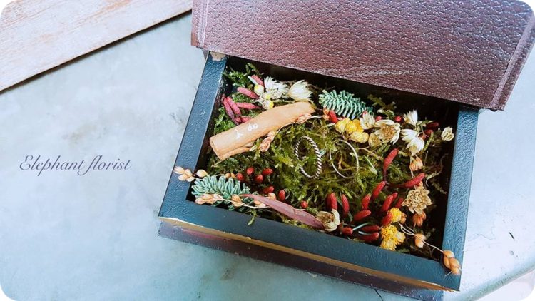 ring book box of plants