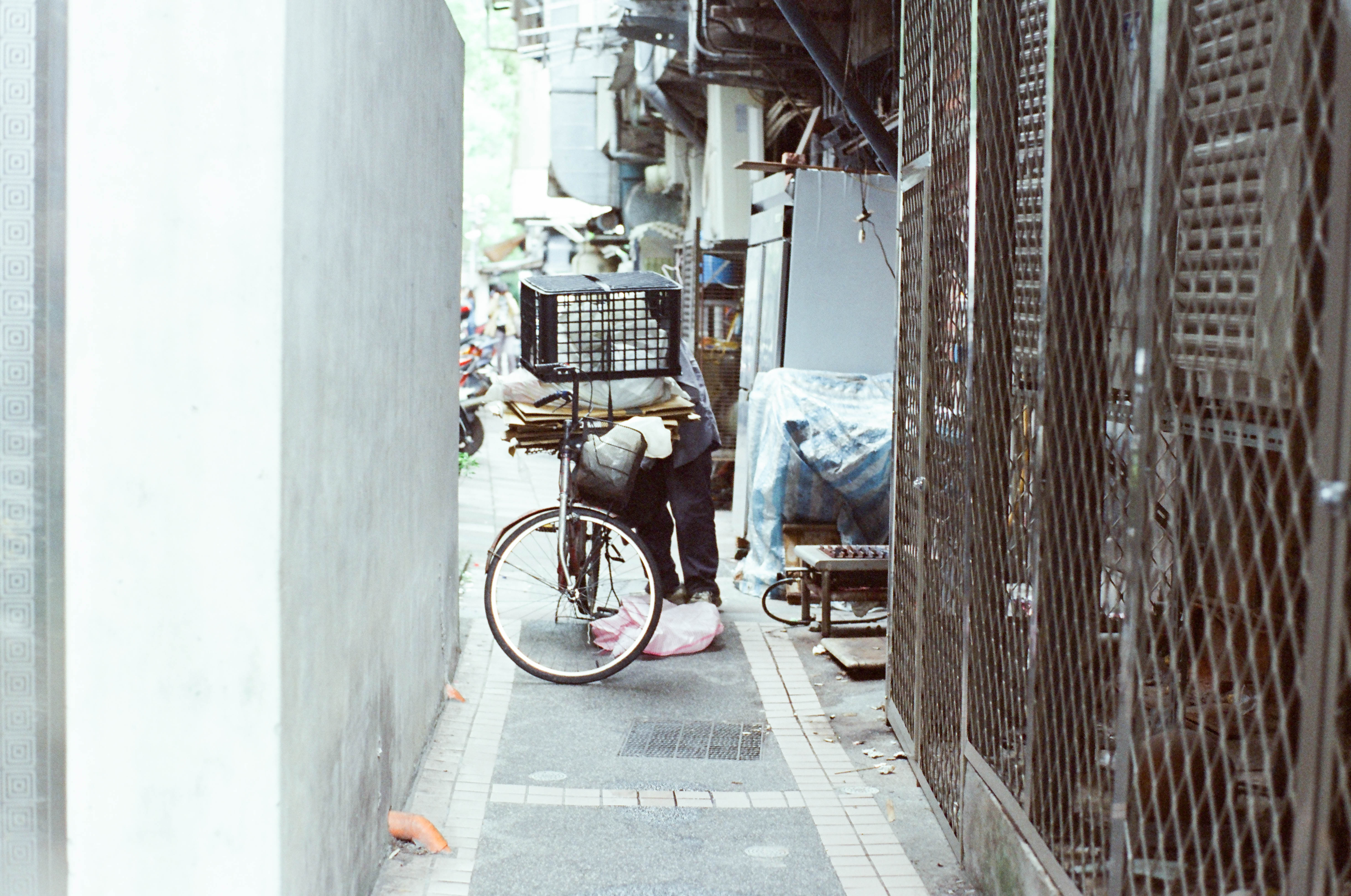 寂寞-3