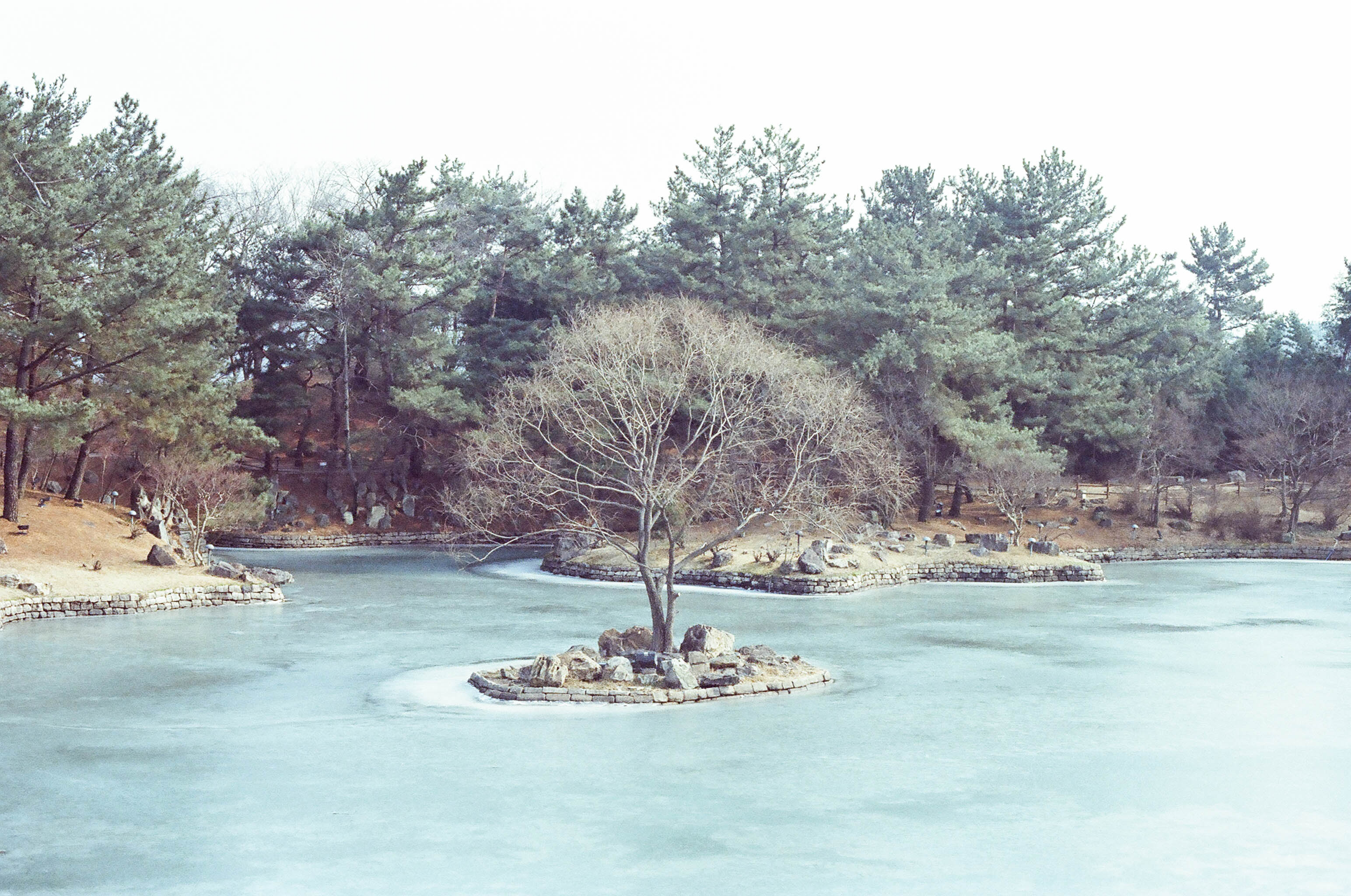 寂寞-4