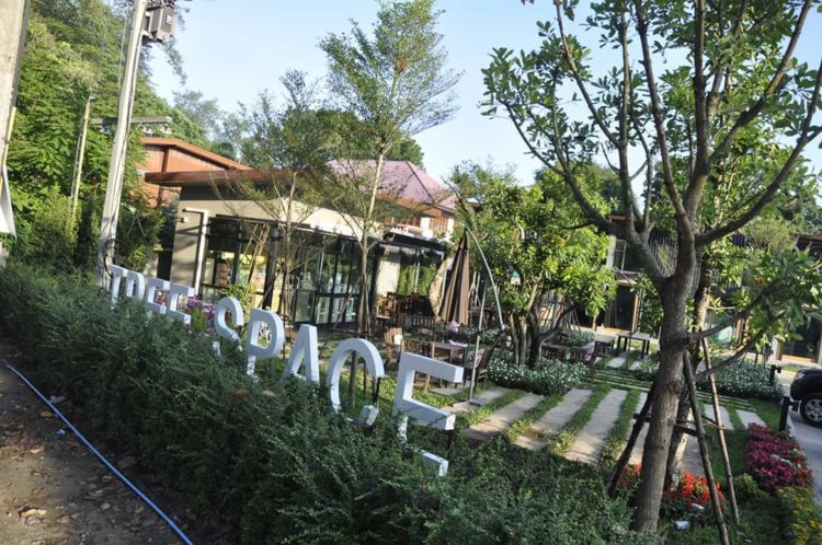 清邁悠閑之旅-入住小翠園 Tree Space，身心光合療愈