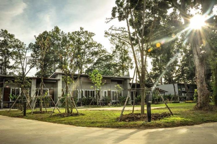 清邁悠閑之旅-入住小翠園 Tree Space，身心光合療愈