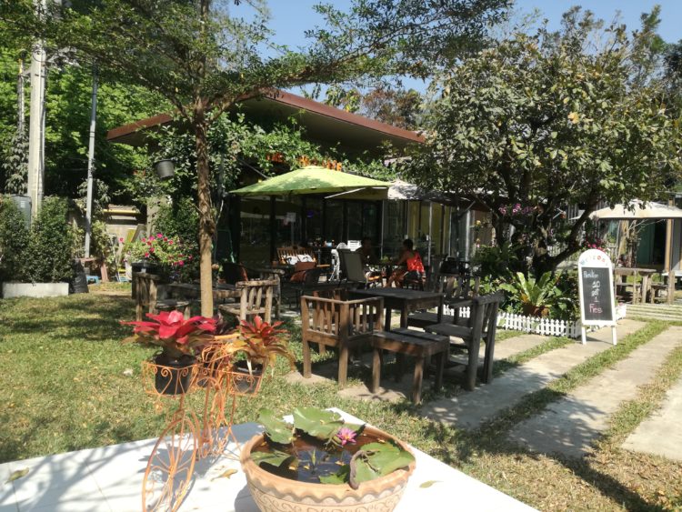 清邁悠閑之旅-入住小翠園 Tree Space，身心光合療愈