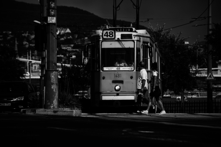 1I4A5216
