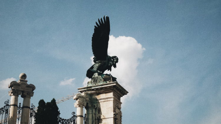 Processed with VSCO with a6 preset