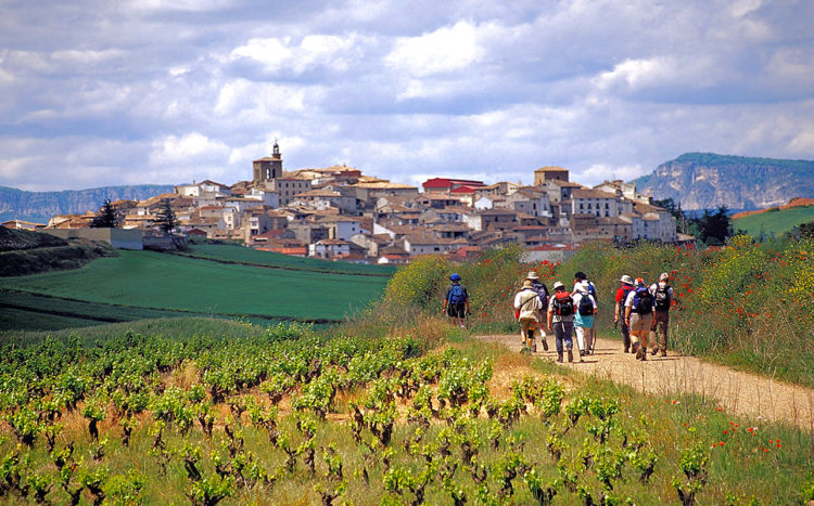Camino Inglés 英國之路一景