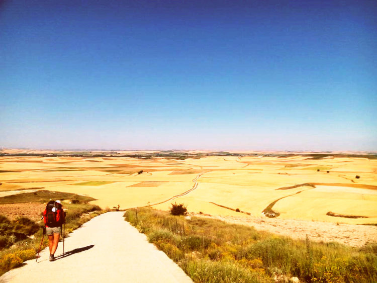 Camino Francés 法國之路