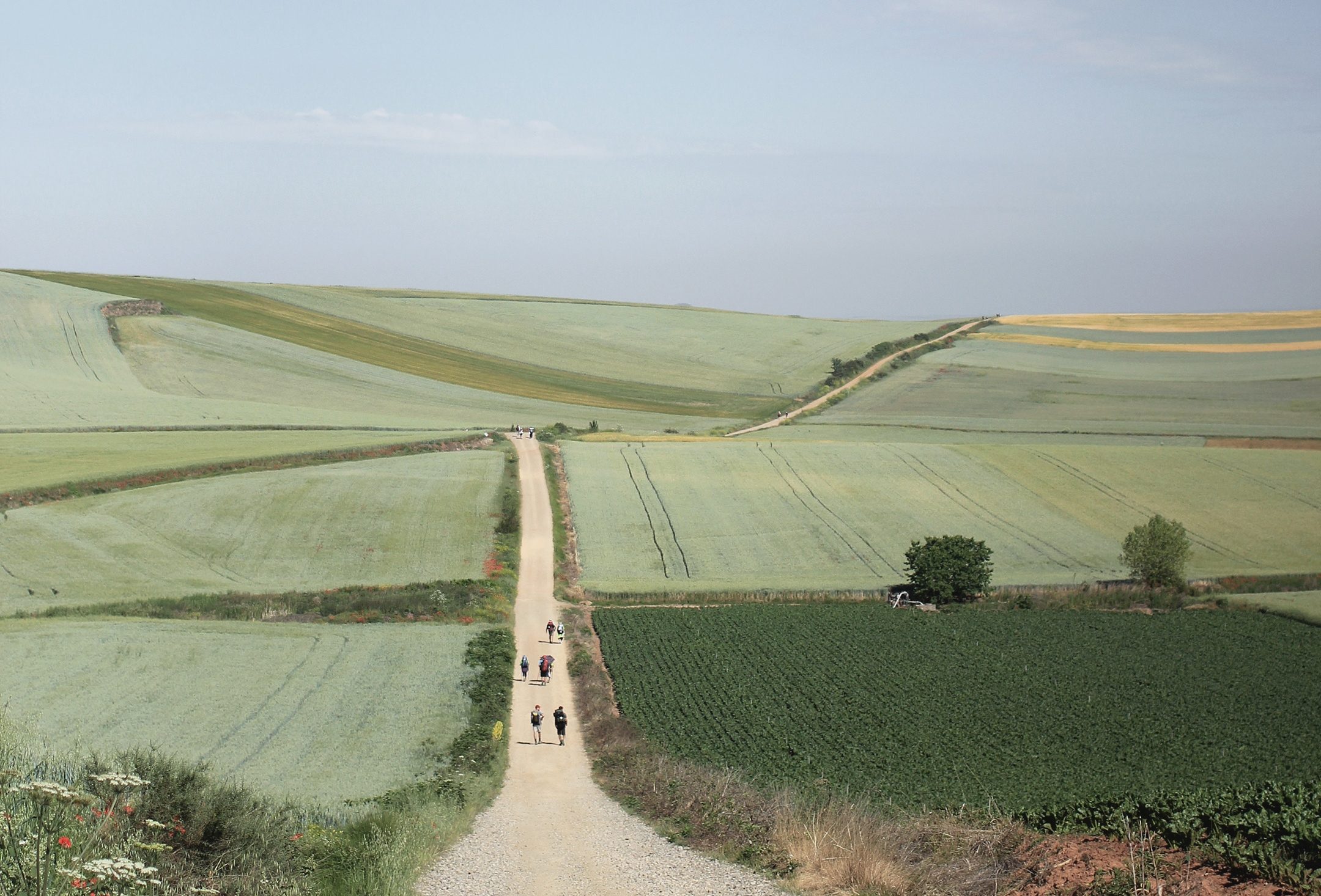 les-routes-sans-fin-s-1396493-unsplash